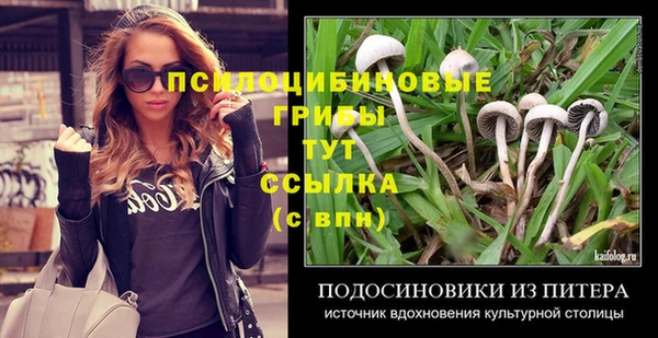 герыч Богородицк
