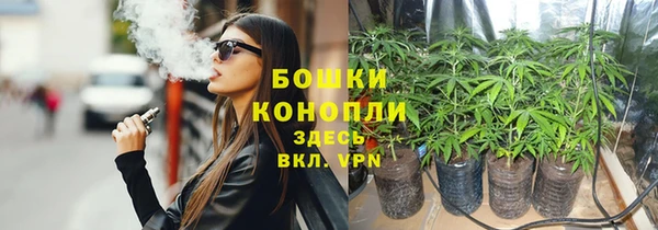 таблы Белокуриха