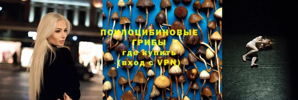 героин Богданович