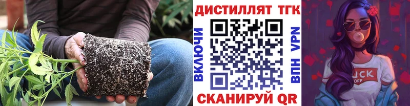 гидра   где можно купить   Кольчугино  Дистиллят ТГК Wax 